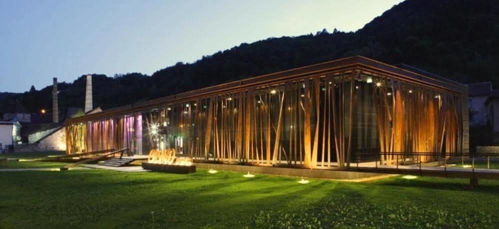 Appart Hotel Charles Sander Salins-les-Bains Exteriör bild